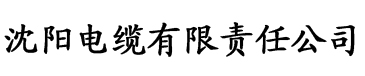 成色抖抈短视频安装电缆厂logo